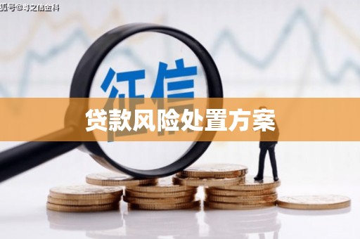 侯马贷款风险处置方案