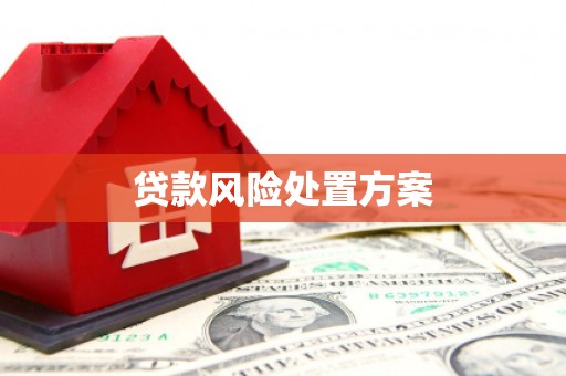 侯马贷款风险处置方案