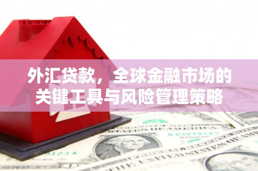 侯马外汇贷款，全球金融市场的关键工具与风险管理策略