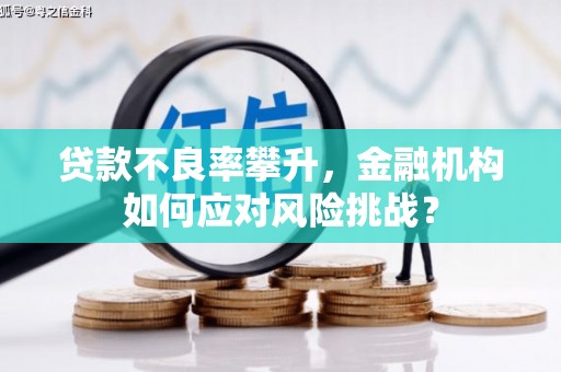 侯马贷款不良率攀升，金融机构如何应对风险挑战？