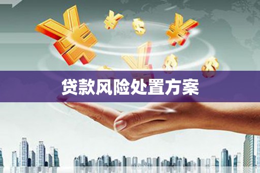 侯马贷款风险处置方案