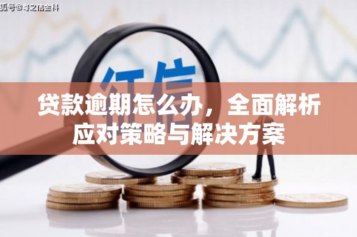 侯马贷款逾期怎么办，全面解析应对策略与解决方案